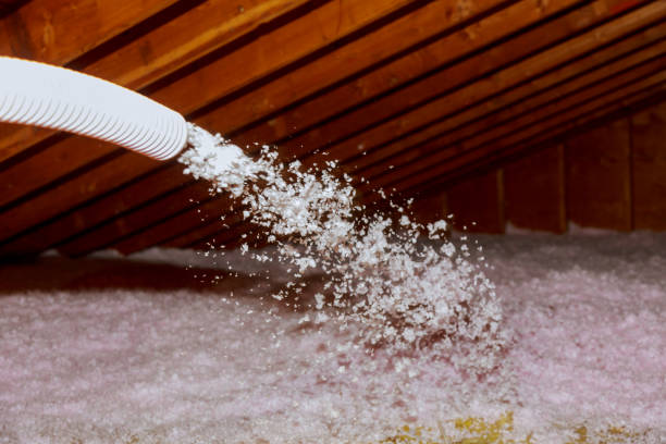Best Geographic-Specific Insulation Services in Clute, TX