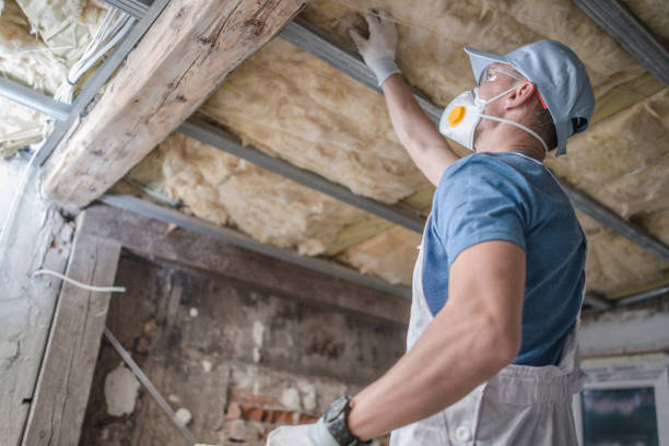 Types of Insulation We Offer in Clute, TX